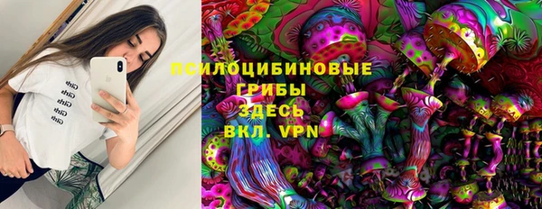 прущие крисы Кулебаки