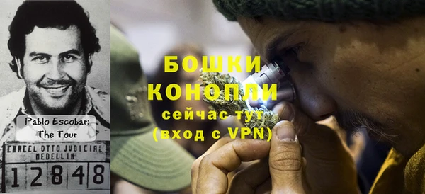 прущие крисы Кулебаки